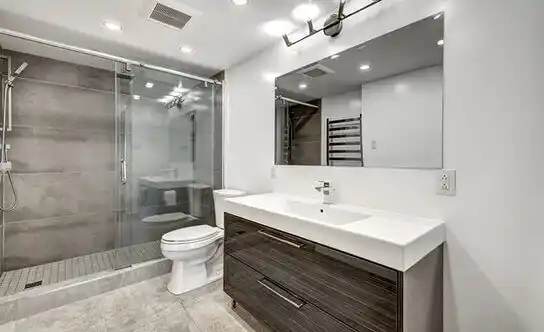 bathroom services South Houston